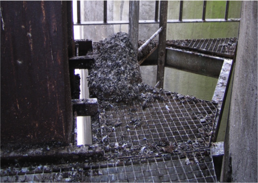 duiven kusters bird control